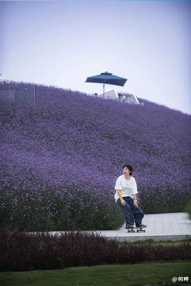 如何制定智能篮球训练计划_0
